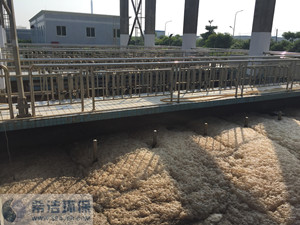 工厂除磷现场 工厂除磷现场