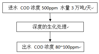 污水厂COD超标现场